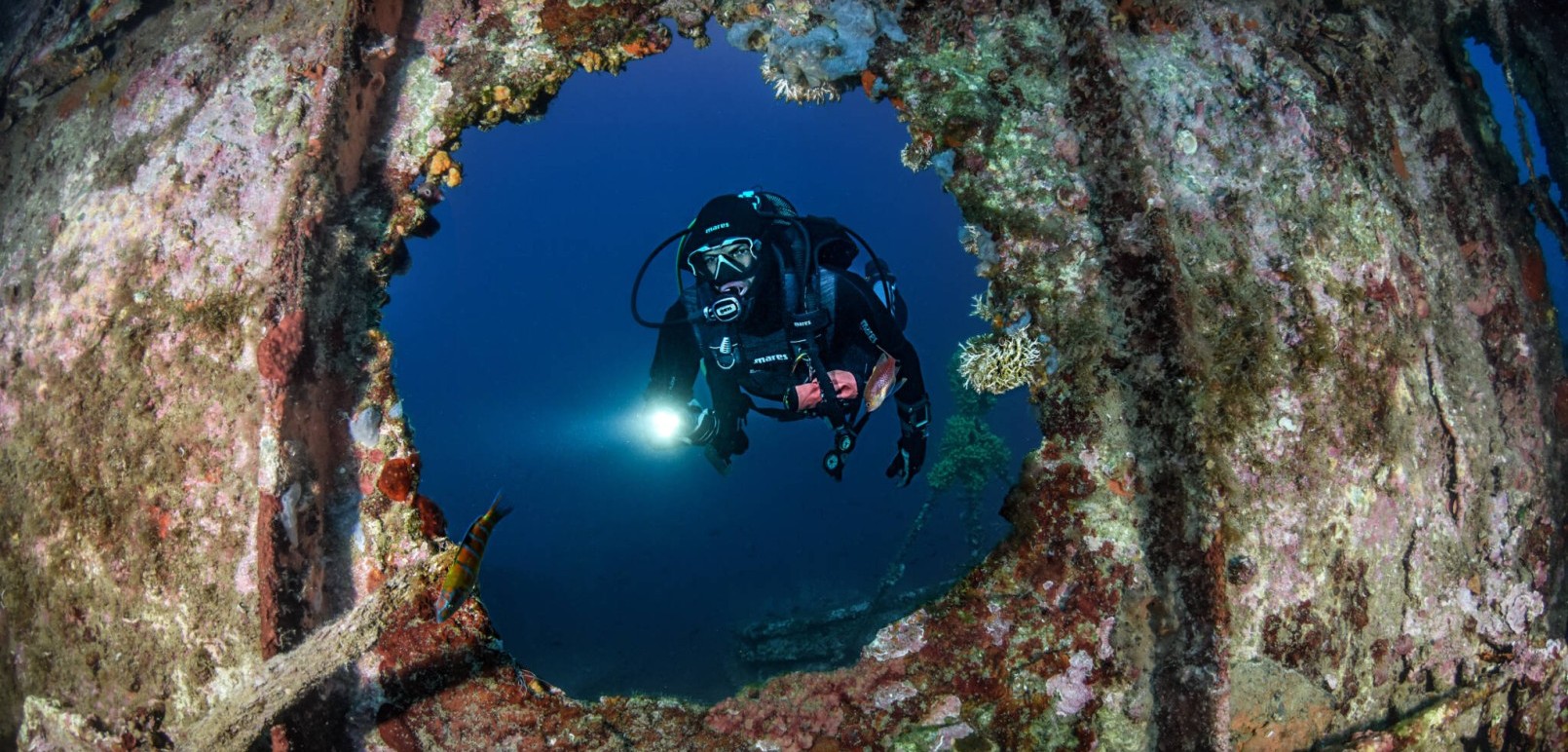 Dive-Image-4-1-scaled